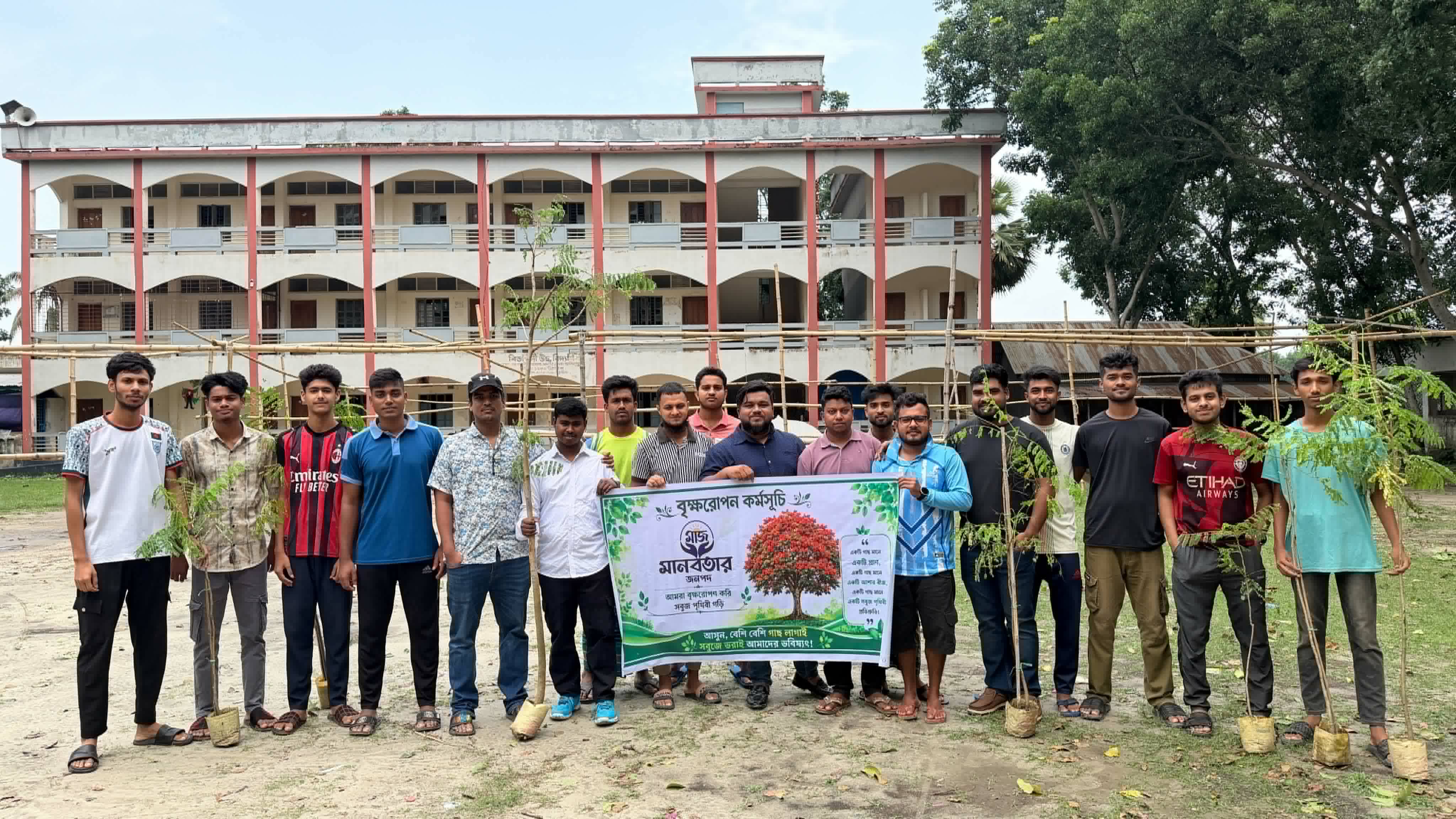 Tree Plantation